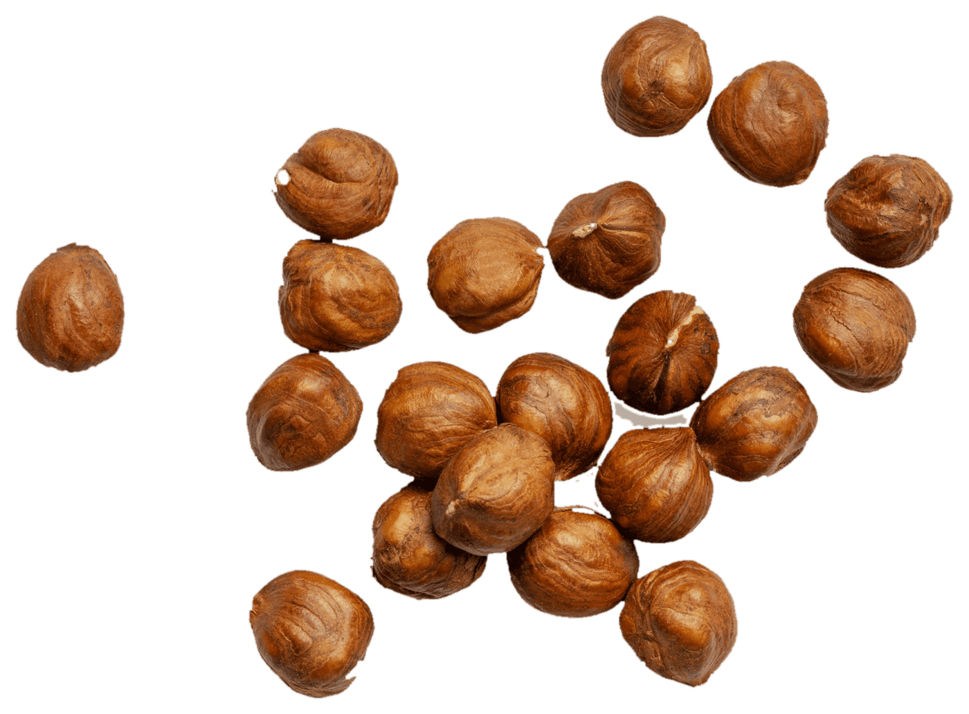 Premium macadamia kernels